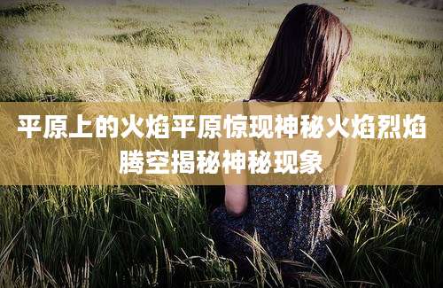 平原上的火焰平原惊现神秘火焰烈焰腾空揭秘神秘现象