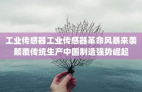 工业传感器工业传感器革命风暴来袭颠覆传统生产中国制造强势崛起