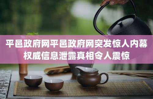 平邑政府网平邑政府网突发惊人内幕权威信息泄露真相令人震惊