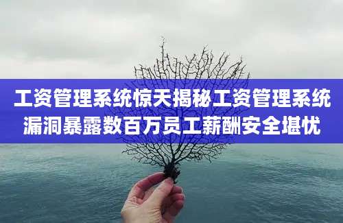 工资管理系统惊天揭秘工资管理系统漏洞暴露数百万员工薪酬安全堪忧