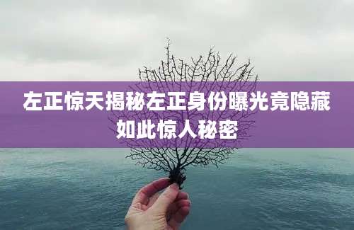 左正惊天揭秘左正身份曝光竟隐藏如此惊人秘密