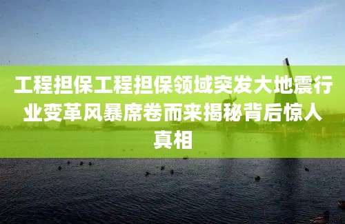 工程担保工程担保领域突发大地震行业变革风暴席卷而来揭秘背后惊人真相