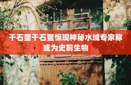 干石鳖干石鳖惊现神秘水域专家称或为史前生物