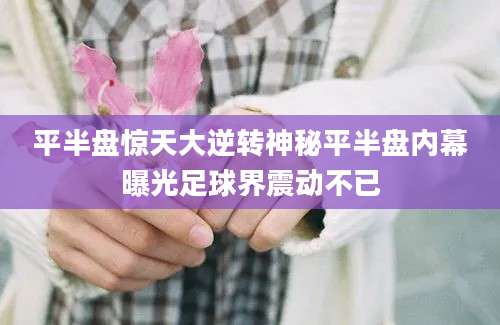 平半盘惊天大逆转神秘平半盘内幕曝光足球界震动不已