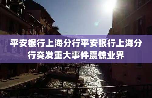 平安银行上海分行平安银行上海分行突发重大事件震惊业界