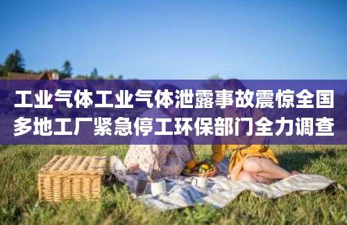 工业气体工业气体泄露事故震惊全国多地工厂紧急停工环保部门全力调查