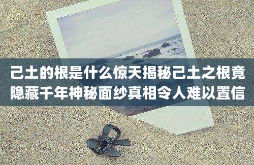 己土的根是什么惊天揭秘己土之根竟隐藏千年神秘面纱真相令人难以置信