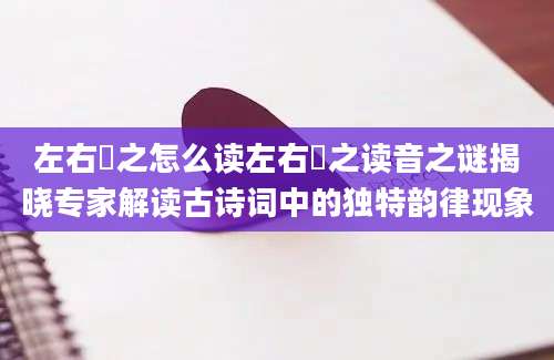 左右芼之怎么读左右芼之读音之谜揭晓专家解读古诗词中的独特韵律现象