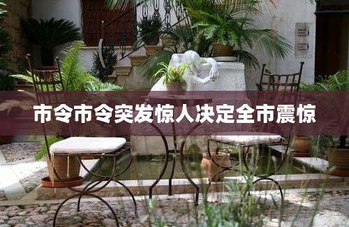 市令市令突发惊人决定全市震惊