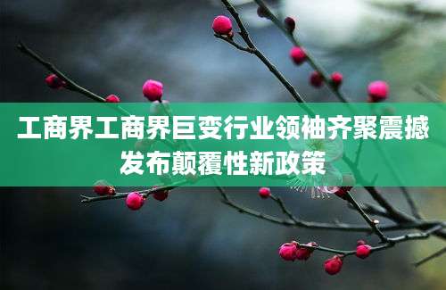 工商界工商界巨变行业领袖齐聚震撼发布颠覆性新政策