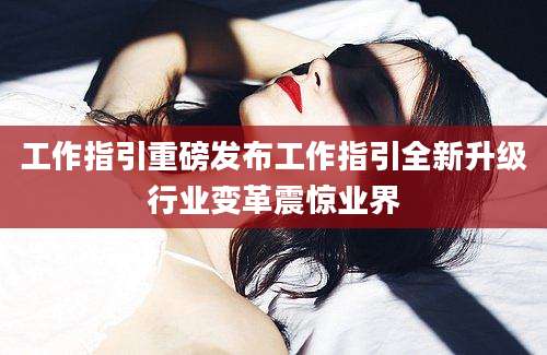 工作指引重磅发布工作指引全新升级行业变革震惊业界
