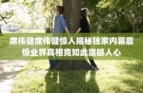 席伟健席伟健惊人揭秘独家内幕震惊业界真相竟如此震撼人心
