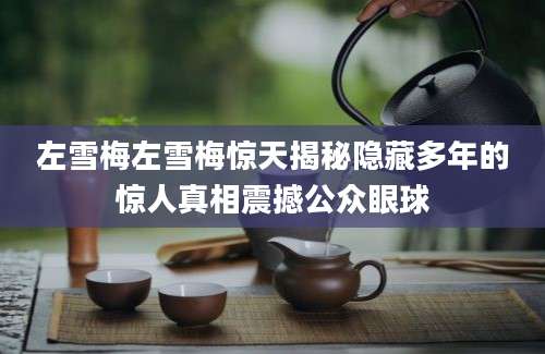 左雪梅左雪梅惊天揭秘隐藏多年的惊人真相震撼公众眼球