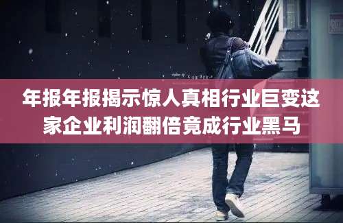 年报年报揭示惊人真相行业巨变这家企业利润翻倍竟成行业黑马