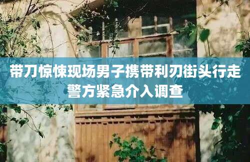 带刀惊悚现场男子携带利刃街头行走警方紧急介入调查