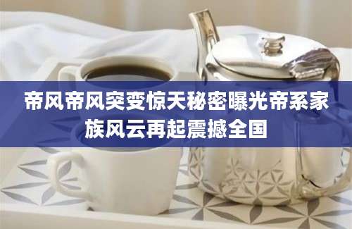 帝风帝风突变惊天秘密曝光帝系家族风云再起震撼全国
