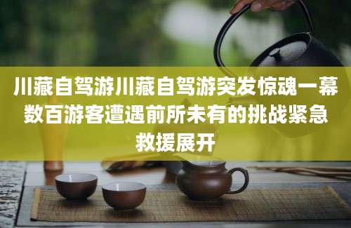 川藏自驾游川藏自驾游突发惊魂一幕数百游客遭遇前所未有的挑战紧急救援展开