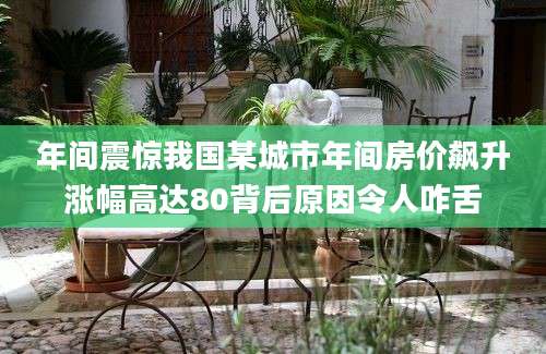 年间震惊我国某城市年间房价飙升涨幅高达80背后原因令人咋舌