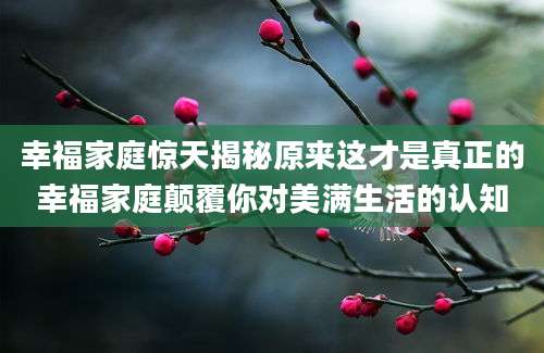 幸福家庭惊天揭秘原来这才是真正的幸福家庭颠覆你对美满生活的认知